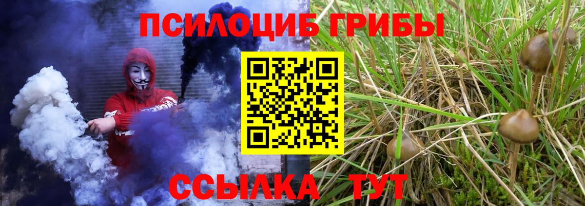 Красный Сулин  Псилоцибиновые грибы MAGIC MUSHROOMS  Галлюциногенные грибы Psilocybe  Вход с VPN 